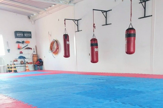 Imagem 1 da galeria do parceiro Escola de Karate Tigre