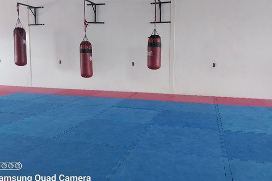 Imagem 3 da galeria do parceiro Escola de Karate Tigre