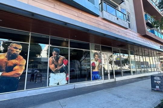 Image 2 from LA Boxing Gym partner gallery