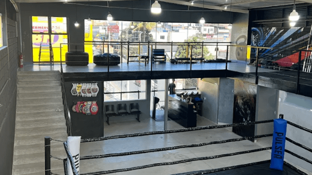 Imagem 1 da galeria do parceiro Centro de Treinamento Malayka Team