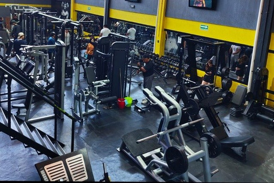 Imagen 2 de la galería del partner Energy Zone