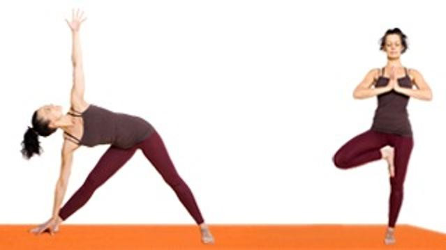 Bild 2 von embody yoga Partnergalerie