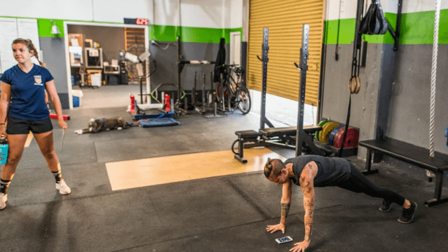 Image 2 from Nightmare Muscle Santa Cruz partner gallery