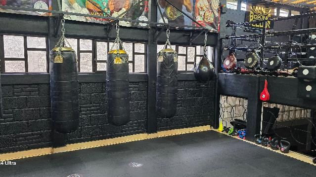 Imagen 1 de la galería del partner Mane Boxing Club