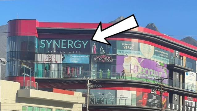 Imagen 2 de la galería del partner Synergy Aerial Arts