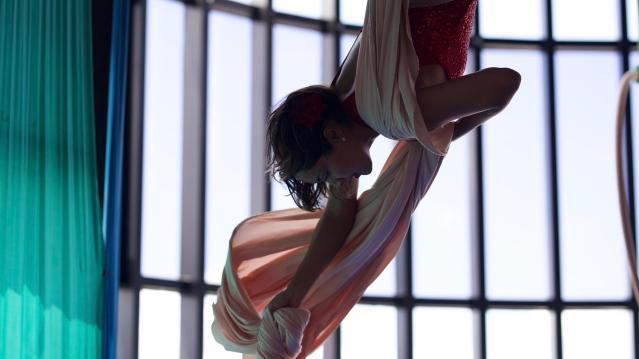 Imagen 3 de la galería del partner Synergy Aerial Arts