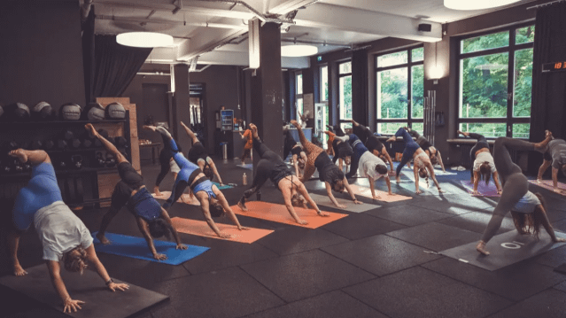 Bild 3 von EVERI Health & Studio Partnergalerie