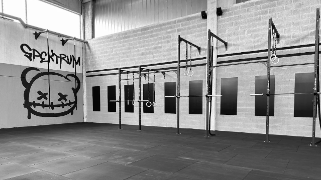 Immagine 1 dalla galleria del partner CrossFit Spektrum