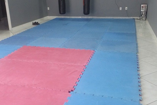 Imagem 1 da galeria do parceiro Fujii fight