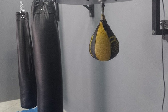 Imagem 3 da galeria do parceiro Fujii fight