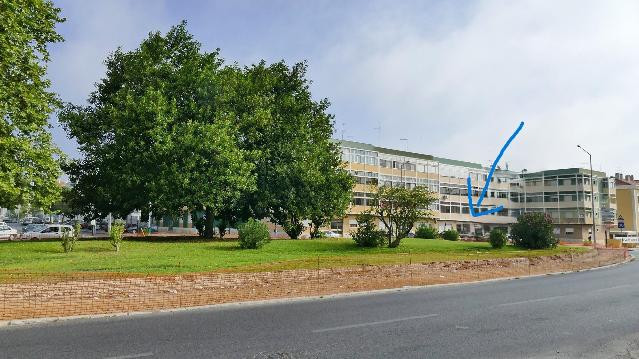 Imagem 2 da galeria do parceiro Quânticus, Saúde e Bem-Estar