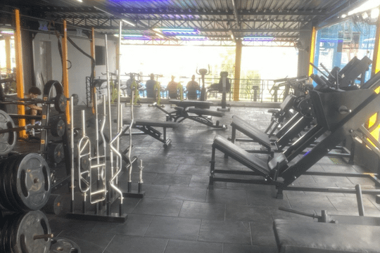 Imagem 1 da galeria do parceiro Academia Musclefit