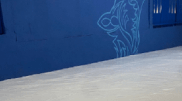 Imagem 3 da galeria do parceiro Alcateam Prazeres