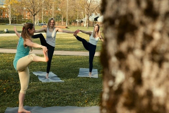 Bild 3 von NaLoHa Yoga Stephansposching Partnergalerie