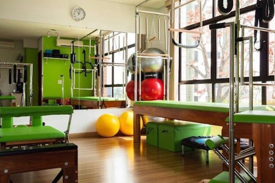 Imagem 3 da galeria do parceiro Harmos Pilates e Fisioterapia