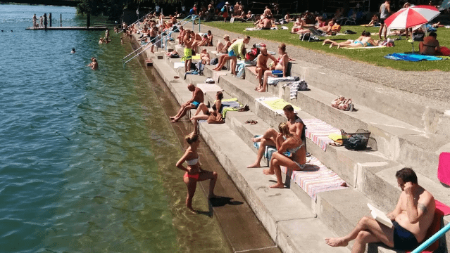 Bild 2 von Rheinstrandbad Partnergalerie