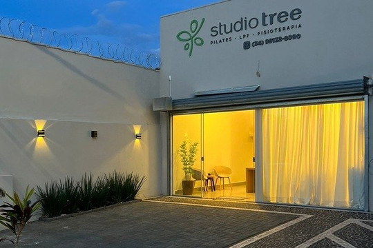 Imagem 2 da galeria do parceiro Studio Tree