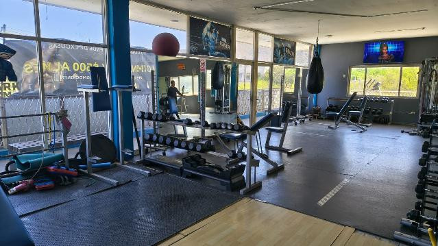 Imagen 2 de la galería del partner Shark Gym Mty