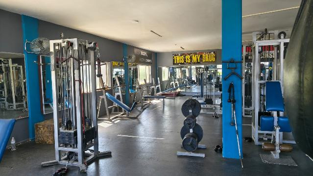 Imagen 3 de la galería del partner Shark Gym Mty