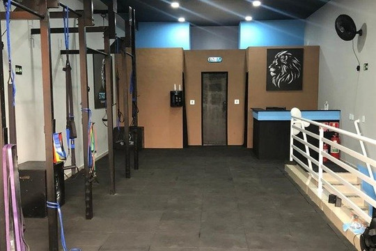 Imagem 1 da galeria do parceiro Strong Lion Treinamento Funcional