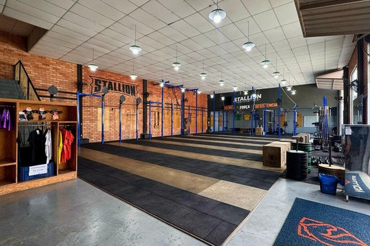 Imagem 2 da galeria do parceiro Stallion CF