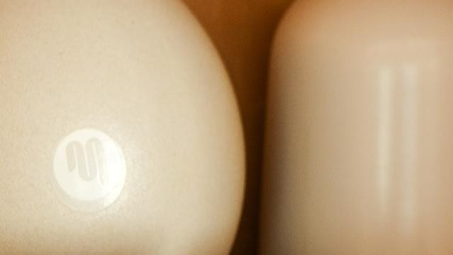 Imagen 3 de la galería del partner The Studio MX - Marina Vallarta