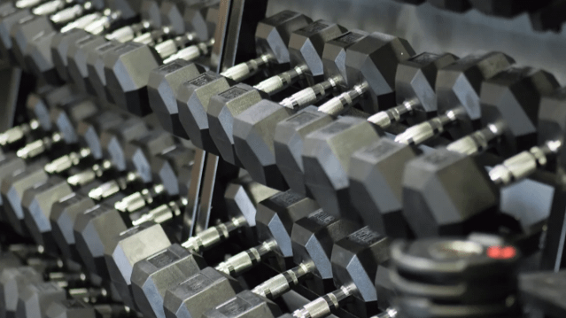 Image 3 from Forza Academy partner gallery