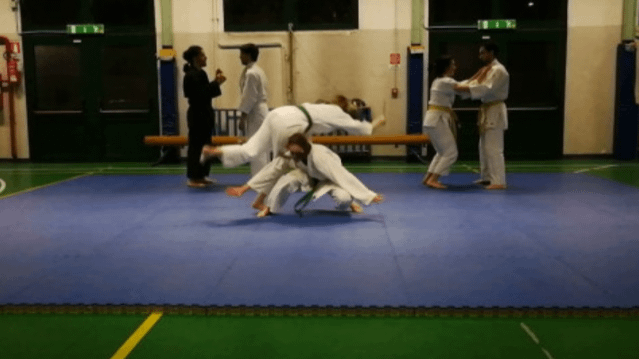 Immagine 3 dalla galleria del partner Yoshin Ryu - Sede SHI