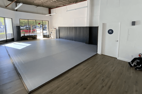 Image 2 from HumanArtwork Jiu Jitsu partner gallery