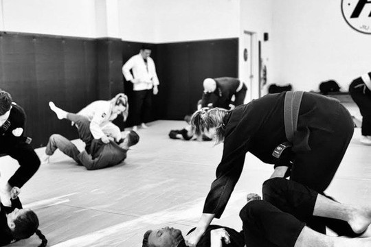 Image 3 from HumanArtwork Jiu Jitsu partner gallery