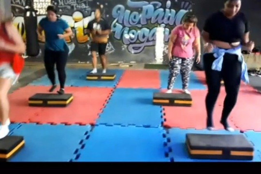 Imagem 3 da galeria do parceiro Alf Studio Lion Fit