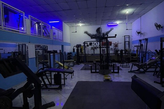 Imagem 1 da galeria do parceiro Alf Studio Lion Fit