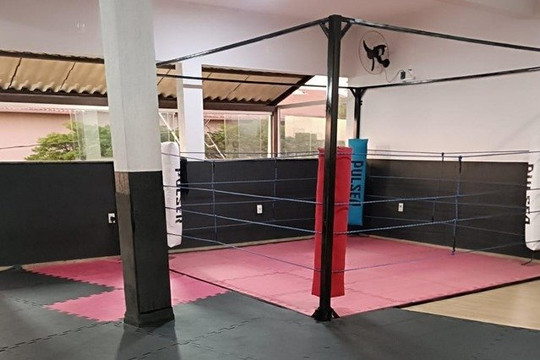 Imagem 3 da galeria do parceiro Arena dos Gladiadores