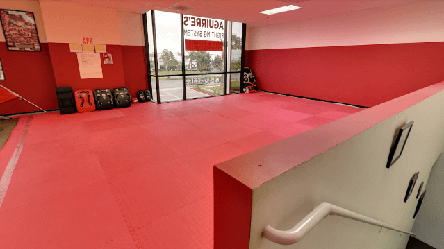 Image 3 from Aguirre's Fighting System partner gallery