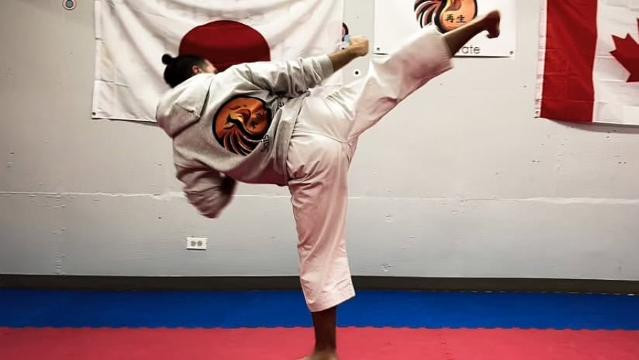 Image 1 de la galerie du partenaire Saisei Karate