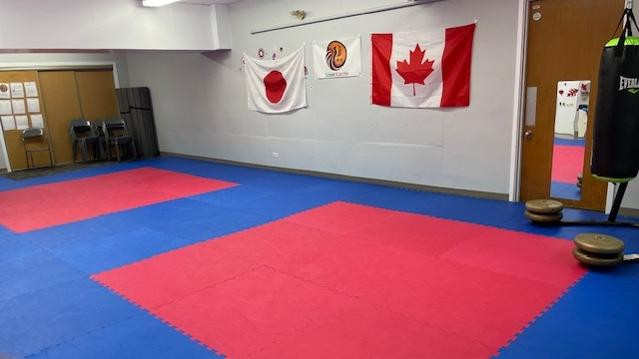 Image 2 de la galerie du partenaire Saisei Karate