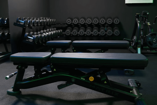 Bild 2 von S&L Fitness Partnergalerie