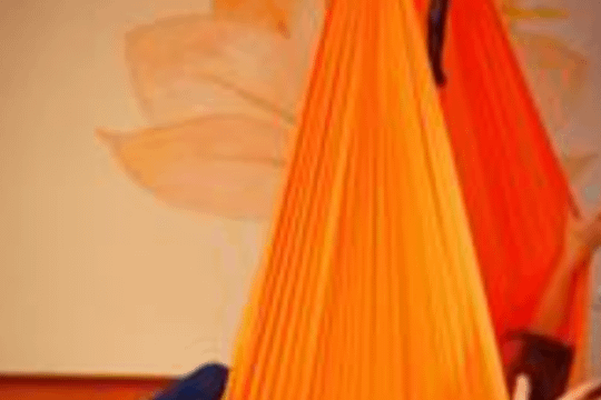 Bild 3 von Yoga Vidya Schwerte Partnergalerie