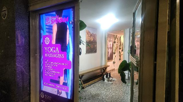 Imagem 2 da galeria do parceiro Espaço Shivam - Yoga e Funcional