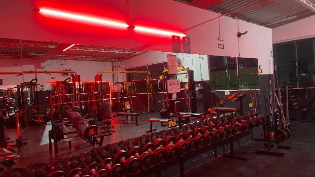 Imagem 3 da galeria do parceiro CT ACADEMIA PROGENESES