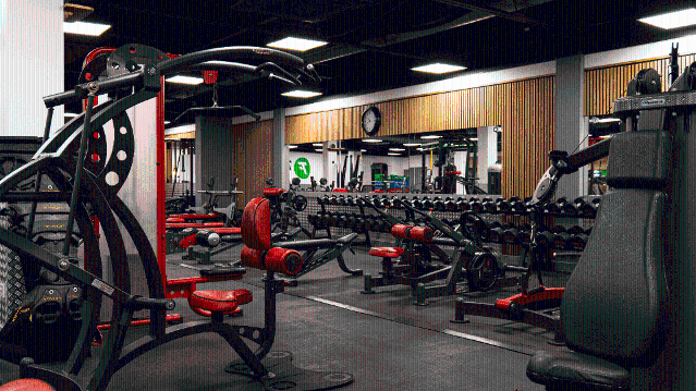 Image 3 from Tre Fitness partner gallery