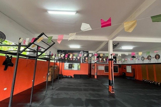 Imagem 1 da galeria do parceiro Fênix Cross Training