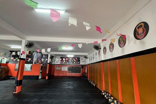 Imagem 3 da galeria do parceiro Fênix Cross Training