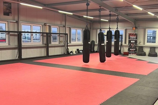 Bild 3 von Genisys Gym Ingolstadt Partnergalerie