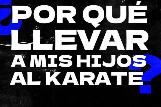 Imagen 2 de la galería del partner Karate Premier la Rioja