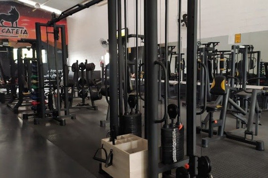 Imagem 1 da galeria do parceiro Alcateia Fit