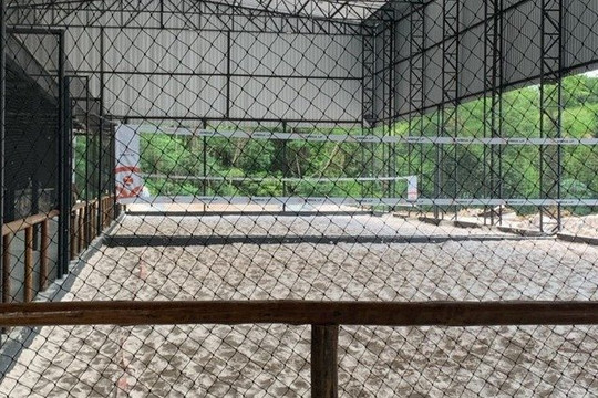 Imagem 3 da galeria do parceiro Arena LP Esportes