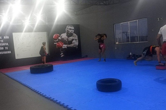 Imagem 1 da galeria do parceiro Arena Castro de Lutas