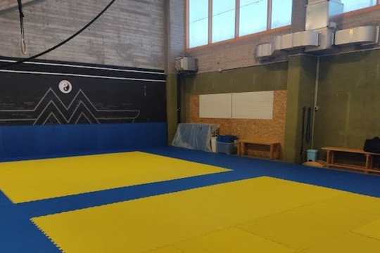 Immagine 1 dalla galleria del partner Judo Ronin Academy