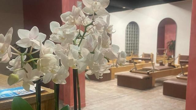 Imagen 1 de la galería del partner DaleeMache Studio